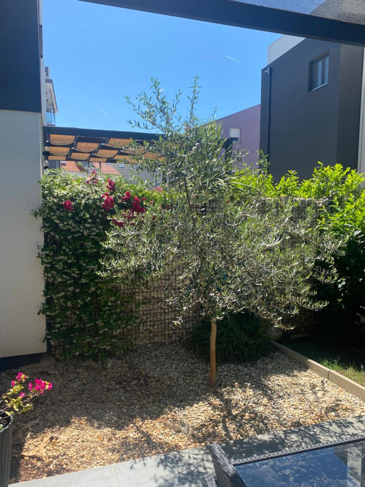 Apartman Anna Zadar Luaran gambar